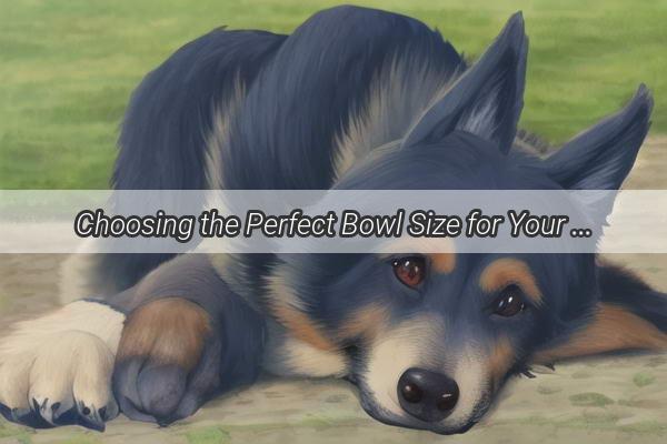 Choosing the Perfect Bowl Size for Your Furry Friend A Guide to PawsPerfect Feeding